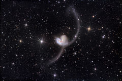 Immagine profilo di stellaastar